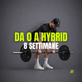 DA 0 A HYBRID