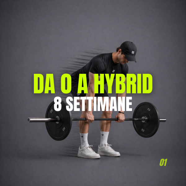 DA 0 A HYBRID