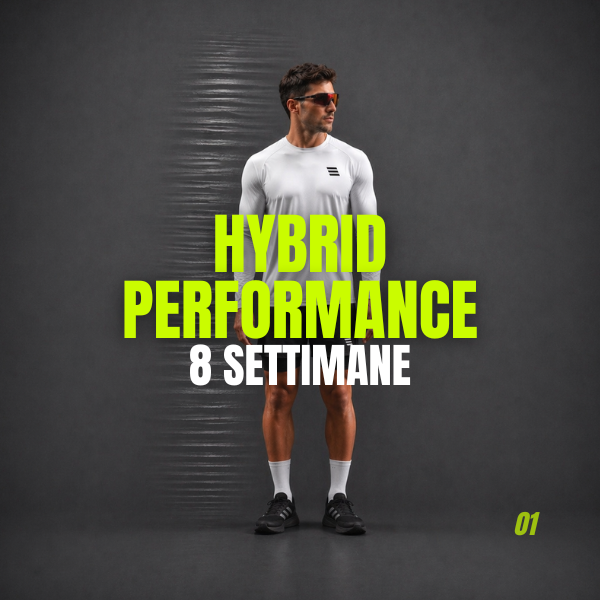 HYBRID PERFORMANCE
