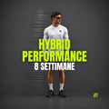 HYBRID PERFORMANCE
